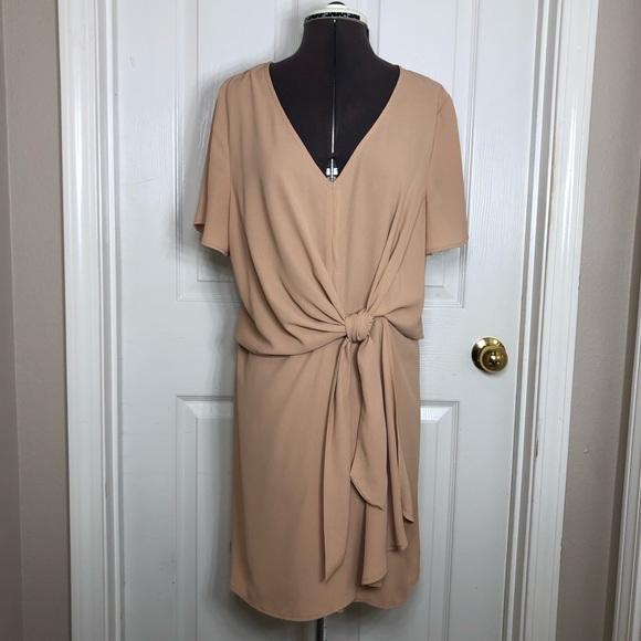 Entro V Neck Adjustable Knot Detail Cape Sleeve Zipper Dusty Rose Tan Dress L - Picture 2 of 14